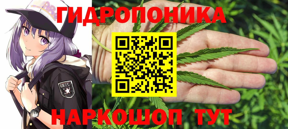 Конопля сатива Шарыпово